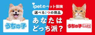 ペット保険・動物保険はアイペット損保