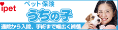 ペット保険・動物保険はアイペット