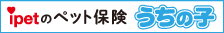 ybgیEی̓ACybg