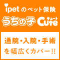 ペット保険・動物保険はアイペット