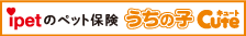 ペット保険・動物保険はアイペット