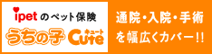 ペット保険・動物保険はアイペット