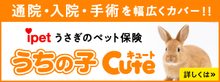 ペット保険・動物保険はアイペット