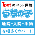 ペット保険・動物保険はアイペット