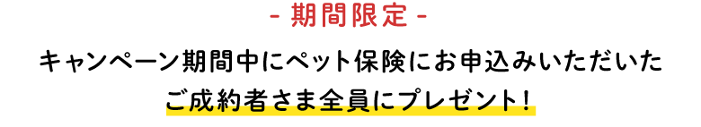 アイペットご契約件数４５万件を記念してキャンペーン期間中にペット保険にお申込みいただいたご成約者さま全員にプレゼント！