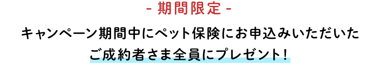 期間限定！キャンペーン期間中ペット保険にお申込みいただいたご成約者さま全員にプレゼント！