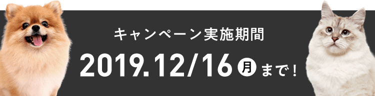 キャンペーン実施期間 2019年11月15日（金）～2019年12月16日（月）