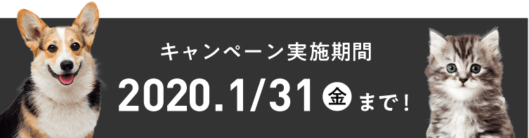 キャンペーン実施期間 2019年12月17日（金）～2020年1月31日（月）