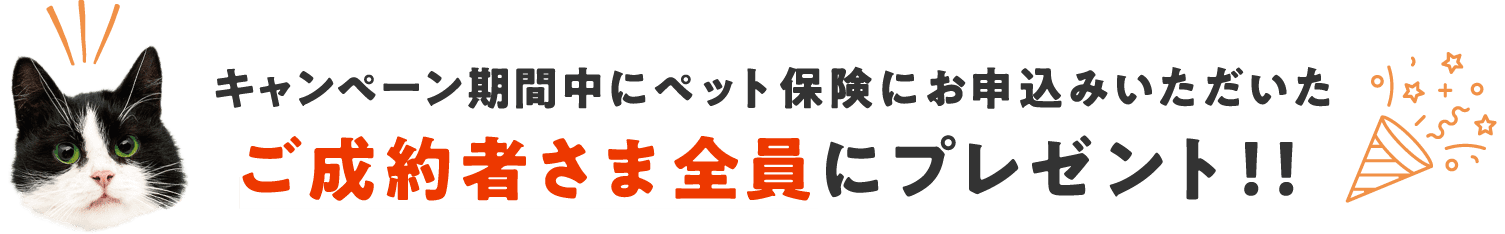 キャンペーン期間中にペット保険にお申込みいただいたご成約者さま全員にプレゼント！