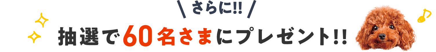 さらに！抽選で60名さまにプレゼント！