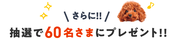 さらに！抽選で60名さまにプレゼント！