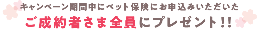 キャンペーン期間中にペット保険にお申込みいただいたご成約者さま全員にプレゼント！