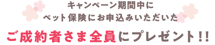 キャンペーン期間中にペット保険にお申込みいただいたご成約者さま全員にプレゼント！