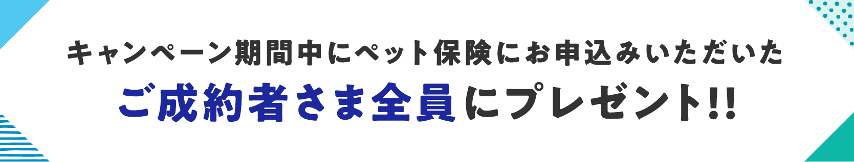 キャンペーン期間中にペット保険にお申込みいただいたご成約者さま全員にプレゼント！