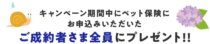 キャンペーン期間中にペット保険にお申込みいただいたご成約者さま全員にプレゼント！