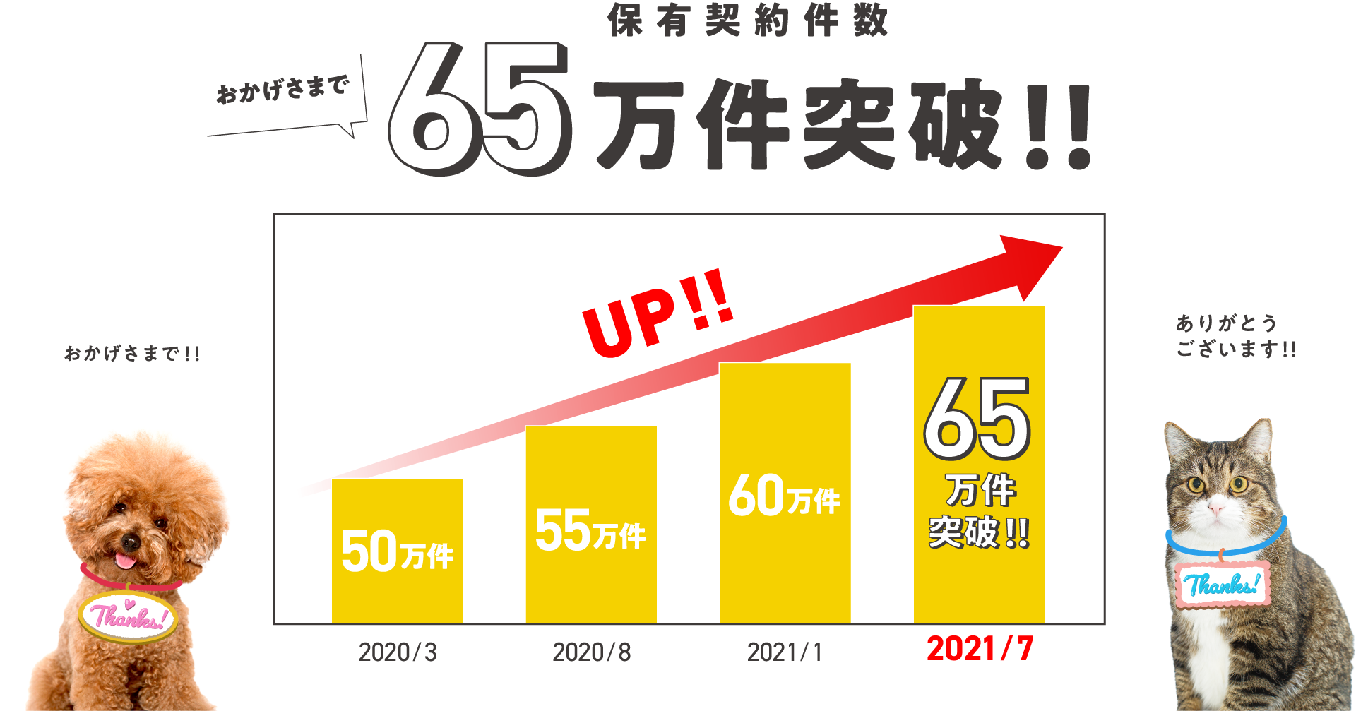 おかげさまで保有契約件数65万件突破！！