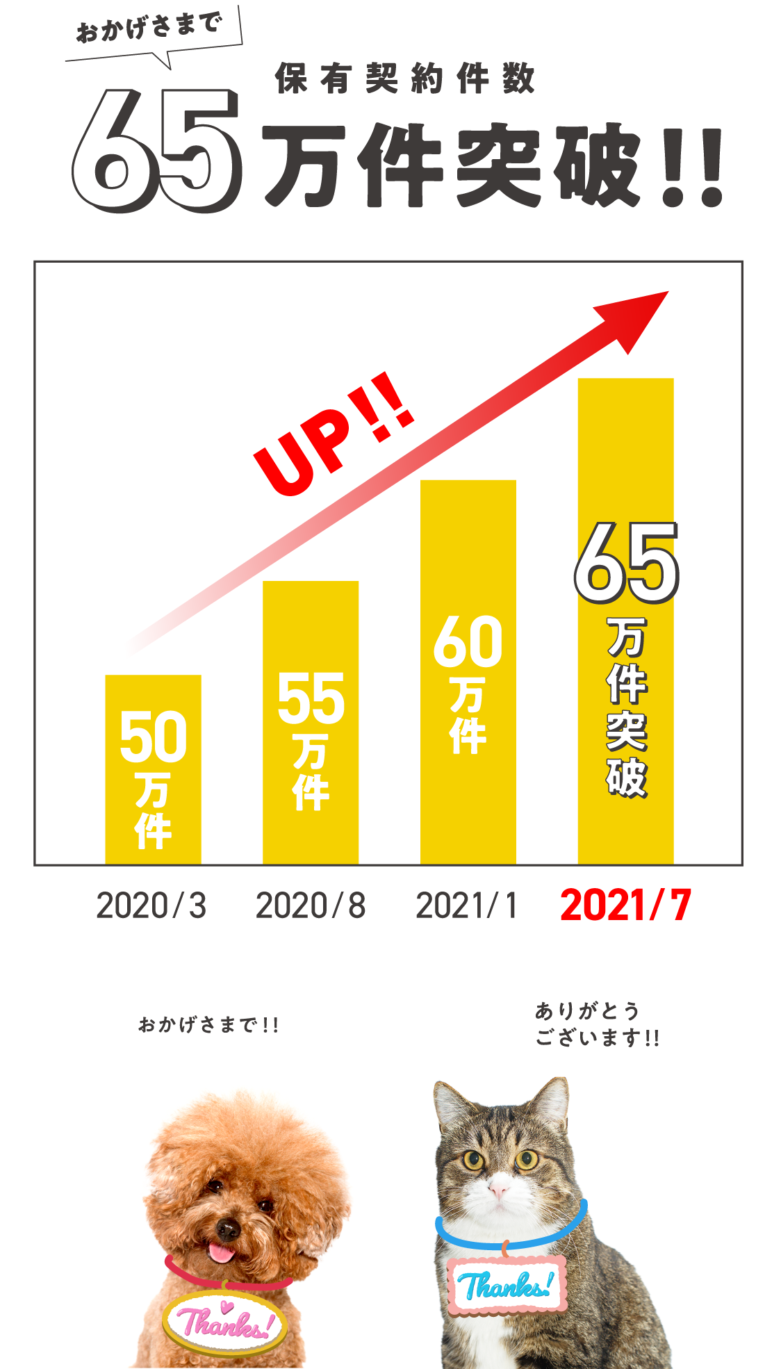 おかげさまで保有契約件数65万件突破！！