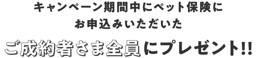 キャンペーン期間中にペット保険にお申込みいただいたご成約者さま全員にプレゼント！