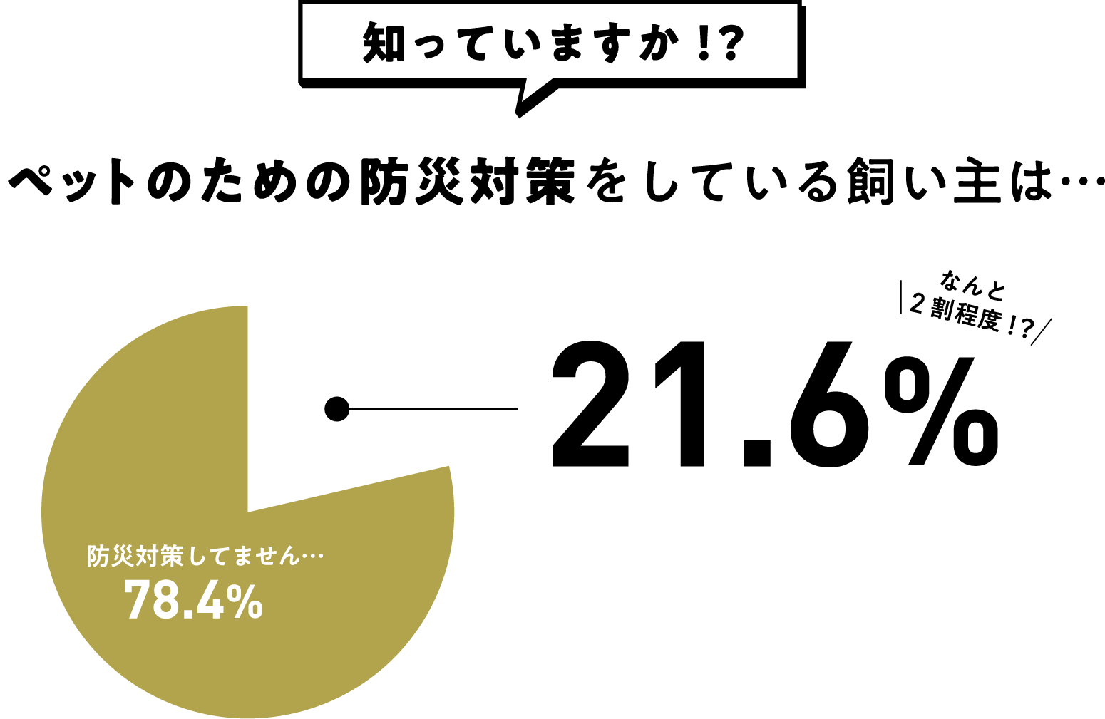 知っていますか⁉ペットのための防災対策をしている飼い主は…21.6% なんと2割程度⁉