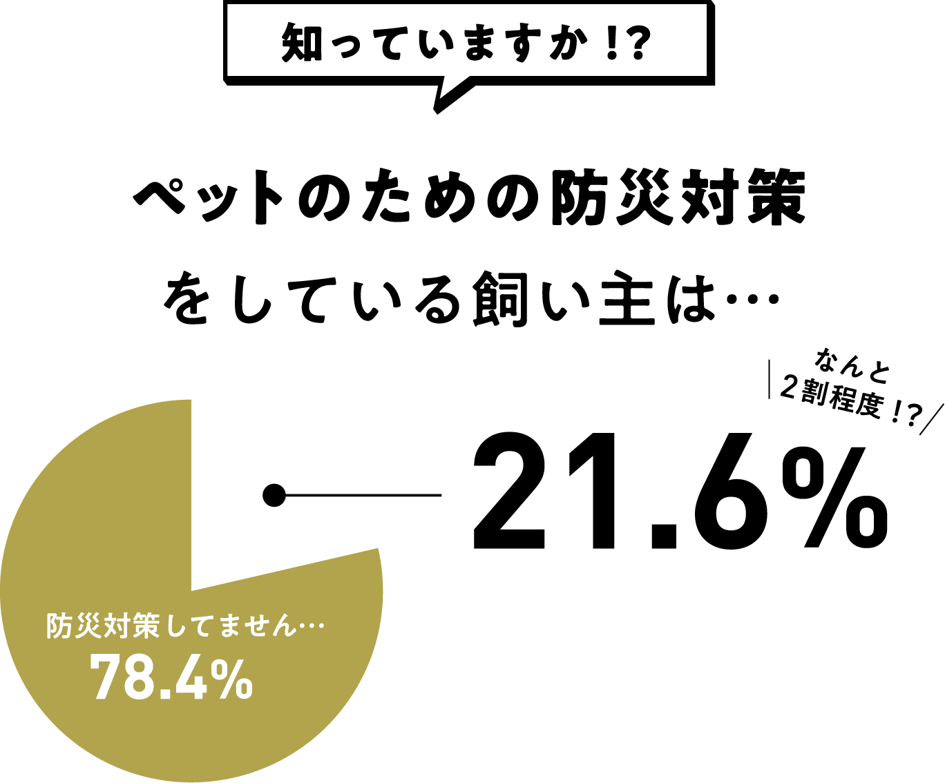 知っていますか⁉ペットのための防災対策をしている飼い主は…21.6% なんと2割程度⁉