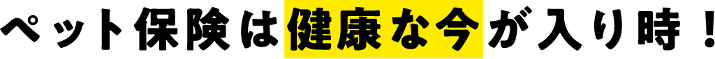 ペット保険は健康な今が入り時！