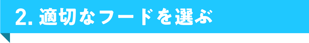 2. 適切なフードを選ぶ