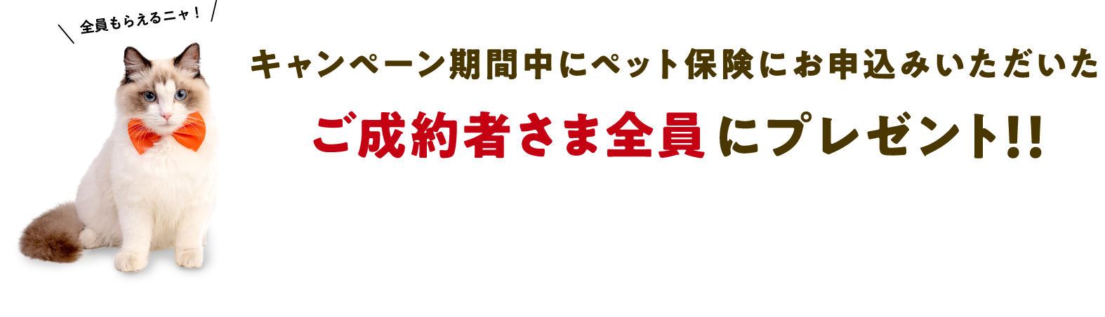 キャンペーン期間中にペット保険にお申込みいただいたご成約者さま全員にプレゼント！