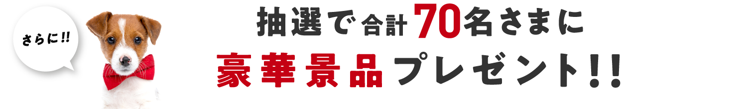 さらに！抽選で合計70名様に豪華景品プレゼント！