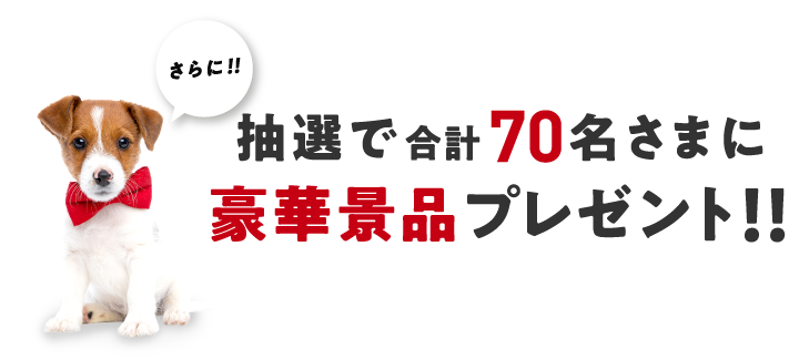 さらに！抽選で合計70名様に豪華景品プレゼント！