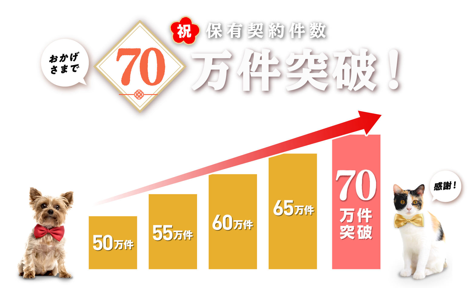 おかげさまで保有契約件数70万件突破！