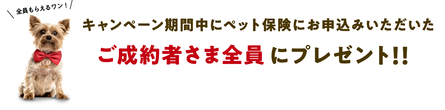 キャンペーン期間中にペット保険にお申込みいただいたご成約者さま全員にプレゼント！