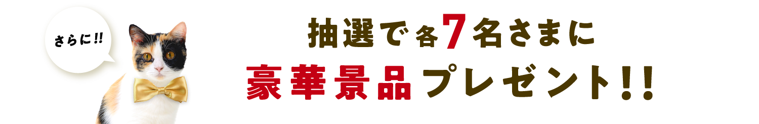 さらに！抽選で合計70名様に豪華景品プレゼント！