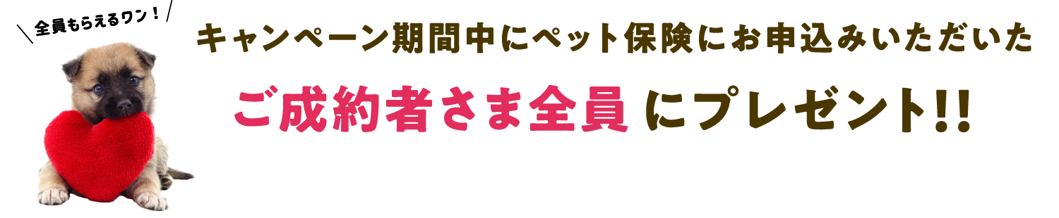 キャンペーン期間中にペット保険にお申込みいただいたご成約者さま全員にプレゼント！