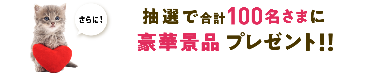 さらに！抽選で合計100名さまに豪華景品プレゼント！