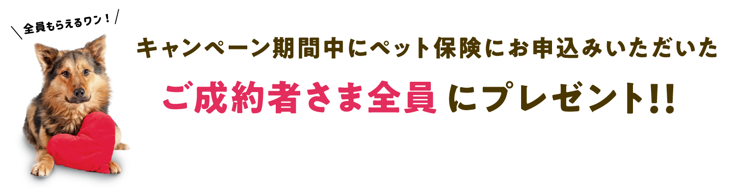 キャンペーン期間中にペット保険にお申込みいただいたご成約者さま全員にプレゼント！