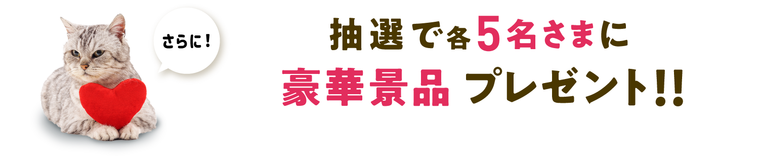 さらに！抽選で豪華景品プレゼント！