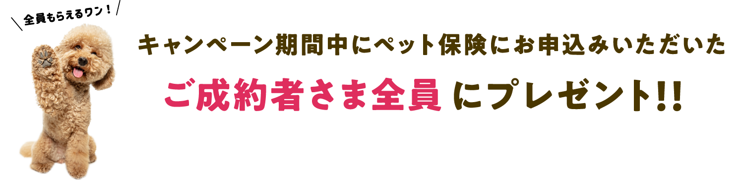 キャンペーン期間中にペット保険にお申込みいただいたご成約者さま全員にプレゼント！