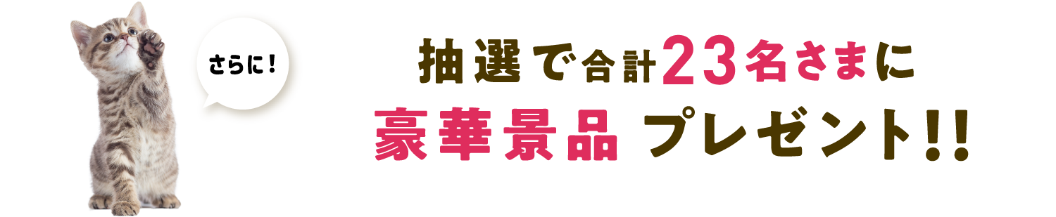 さらに！抽選で豪華景品プレゼント！