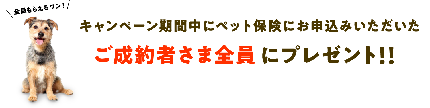 キャンペーン期間中にペット保険にお申込みいただいたご成約者さま全員にプレゼント！