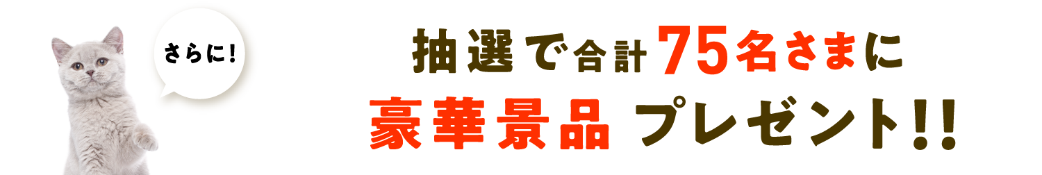 さらに！抽選で豪華景品プレゼント！