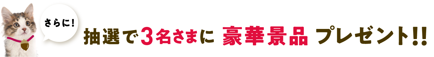 さらに！抽選で豪華景品プレゼント！