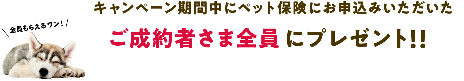 キャンペーン期間中にペット保険にお申込みいただいたご成約者さま全員にプレゼント！