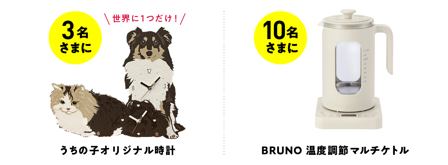 抽選で豪華景品プレゼント！