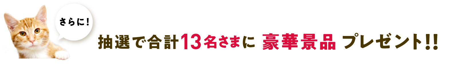 さらに！抽選で豪華景品プレゼント！