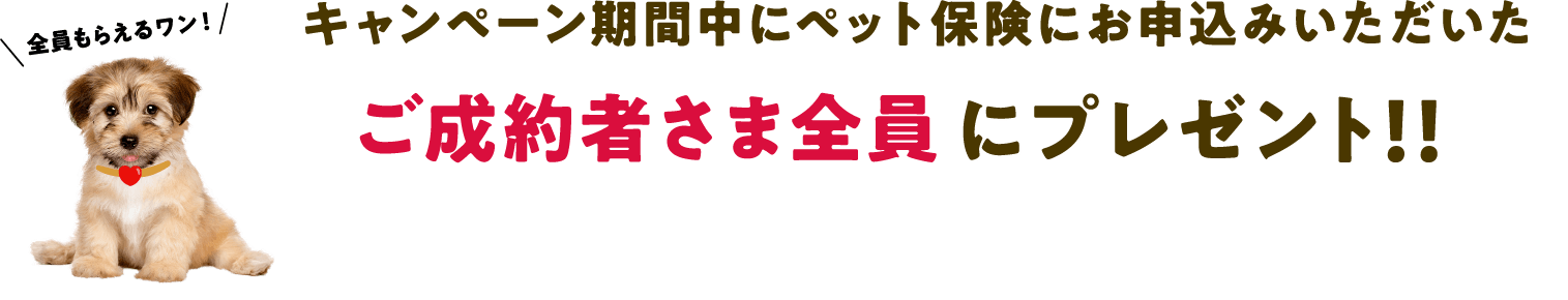 キャンペーン期間中にペット保険にお申込みいただいたご成約者さま全員にプレゼント！