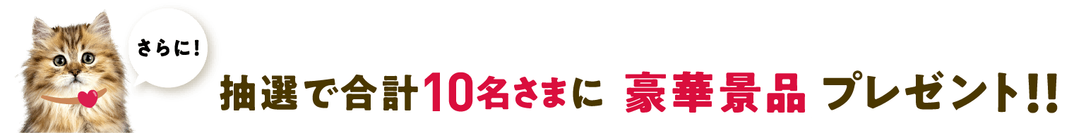 さらに！抽選で豪華景品プレゼント！