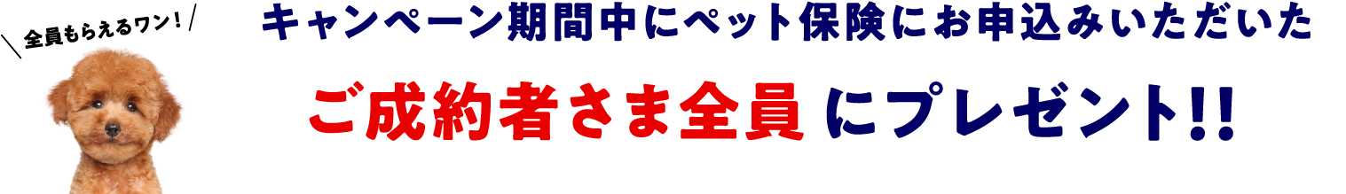 キャンペーン期間中にペット保険にお申込みいただいたご成約者さま全員にプレゼント！