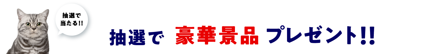 さらに！抽選で豪華景品プレゼント！