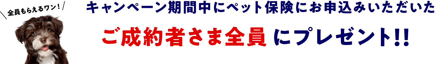 キャンペーン期間中にペット保険にお申込みいただいたご成約者さま全員にプレゼント！