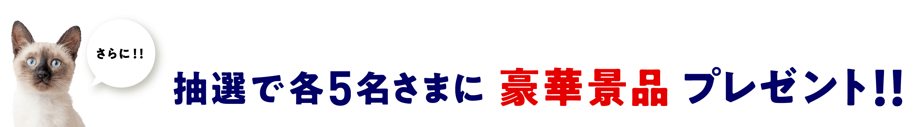 さらに！抽選で豪華景品プレゼント！